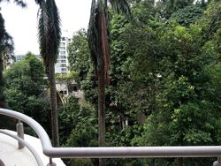 The Balmoral (D10), Condominium #371115291